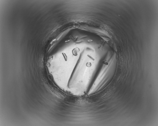 X0000062140596200512301529