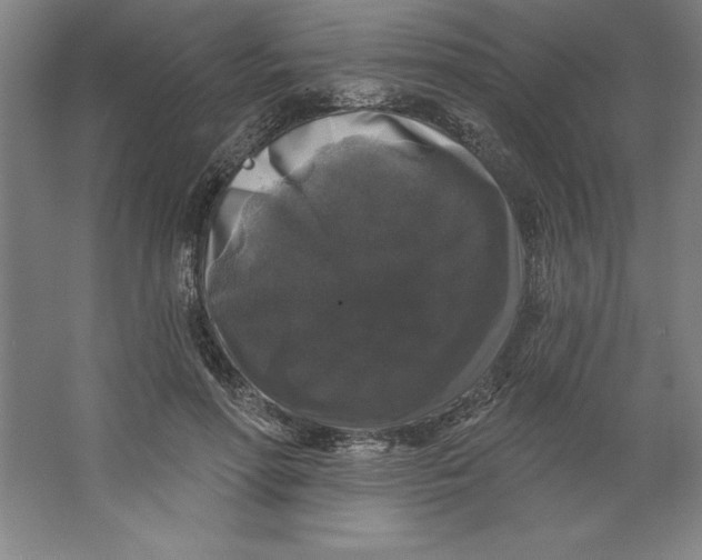 X0000062140598200512301529