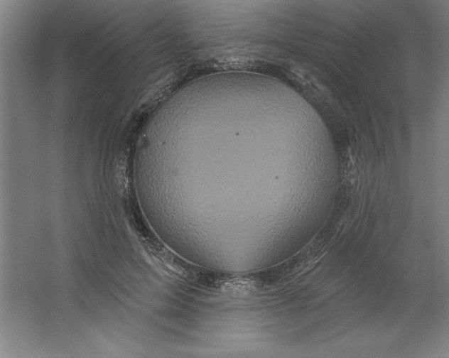 X0000062140599200512301529