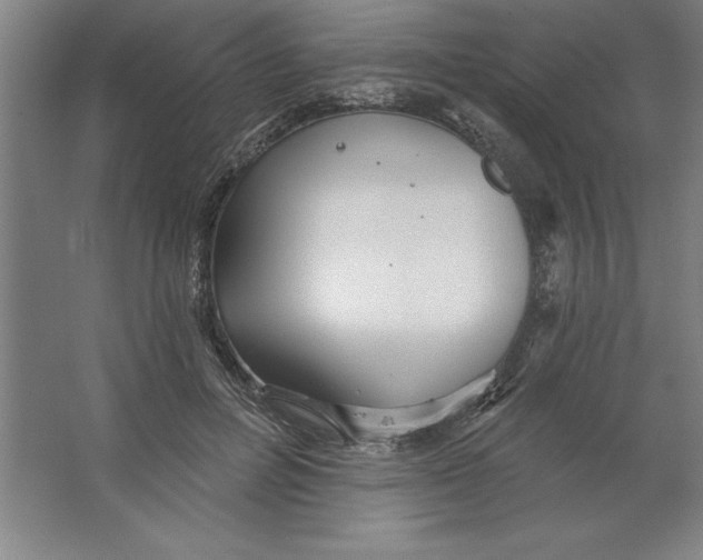 X0000062140600200512301529