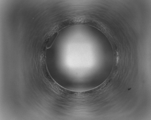 X0000062140601200512301529