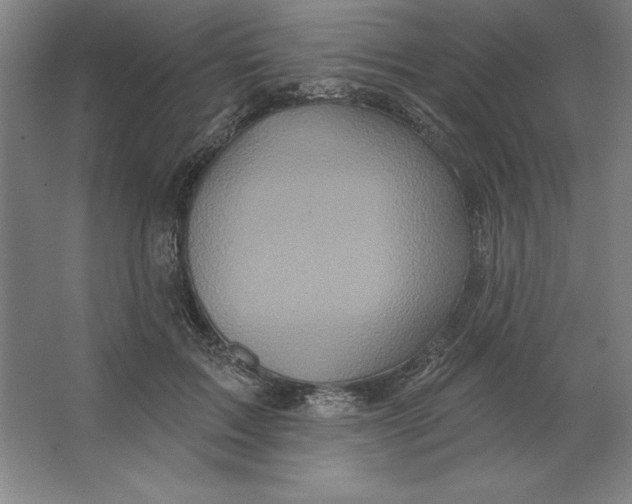 X0000062140603200512301529