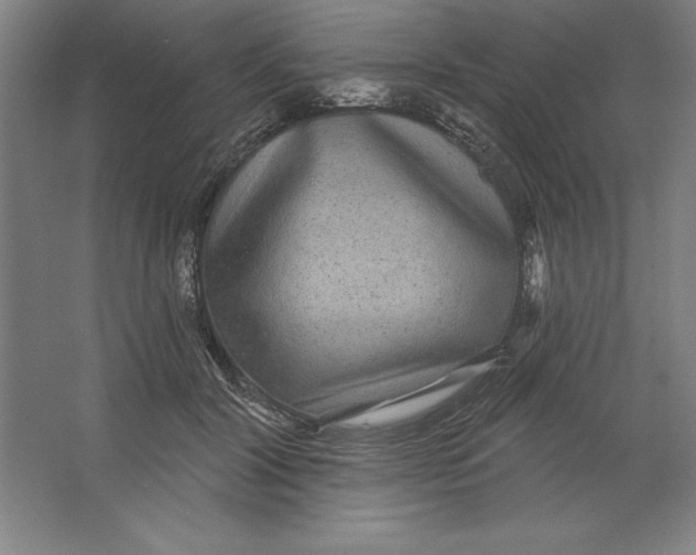 X0000062140604200512301529