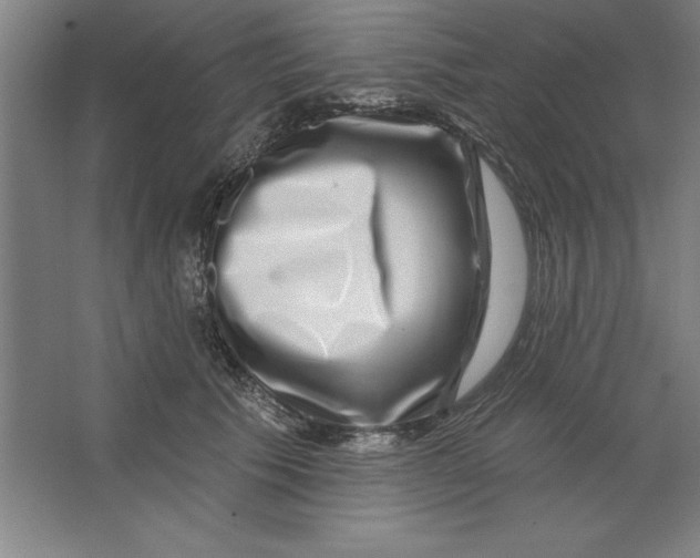 X0000062140609200512301529