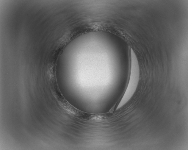 X0000062140611200512301529