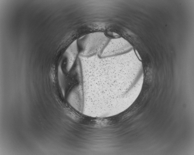 X0000062140612200512301529