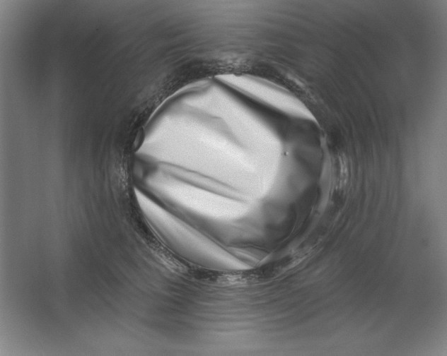 X0000062140613200512301529