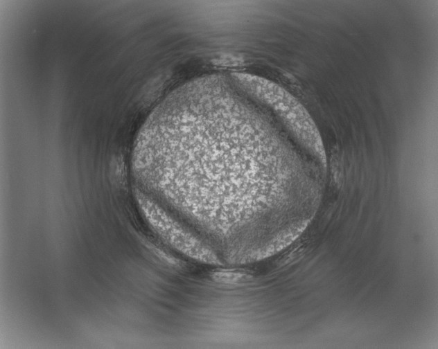 X0000062140614200512301529