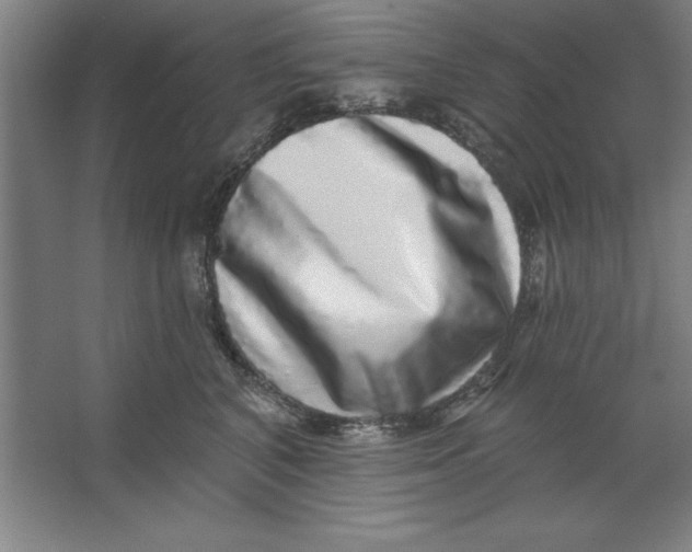 X0000062140616200512301529