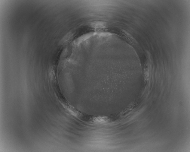 X0000062140618200512301529