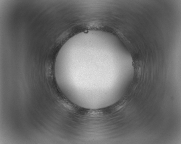 X0000062140619200512301529