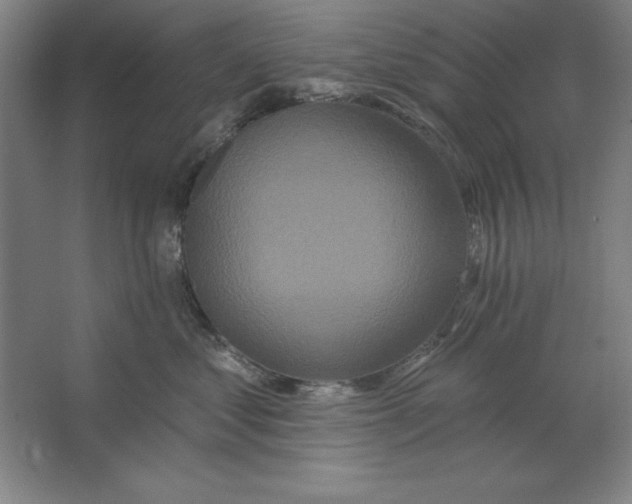 X0000062140621200512301529