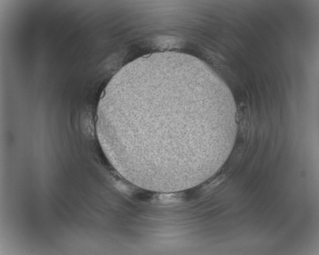 X0000062140622200512301529