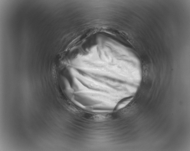 X0000062140623200512301529