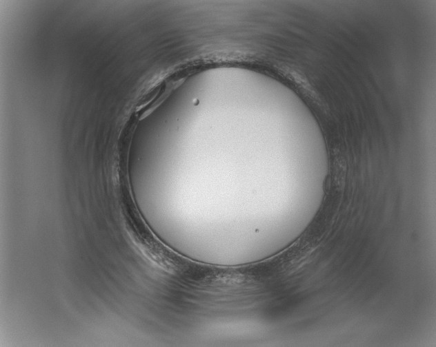 X0000062140631200512301528