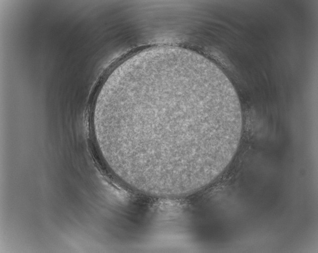 X0000062140632200512301528