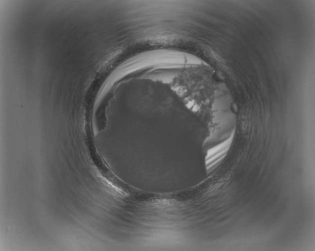 X0000062140637200512301528