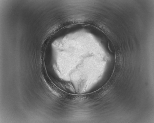 X0000062140638200512301528