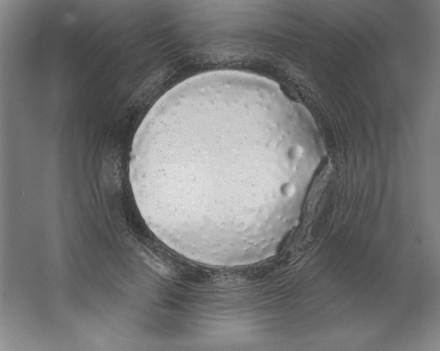 X0000062140644200512301528