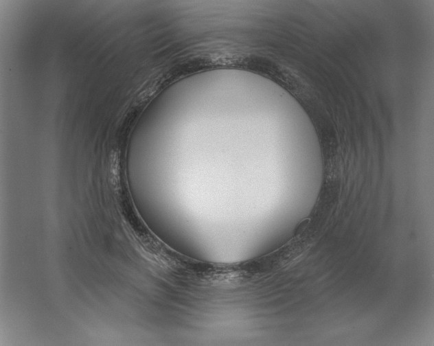 X0000062140646200512301528