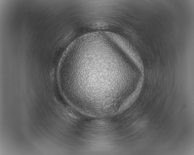 X0000062140652200512301528