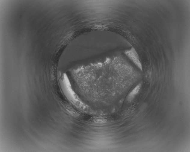 X0000062140658200512301528