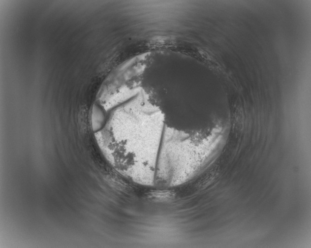 X0000062140659200512301529