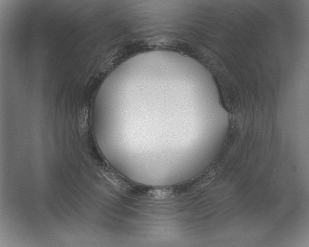 X0000062140660200512301529