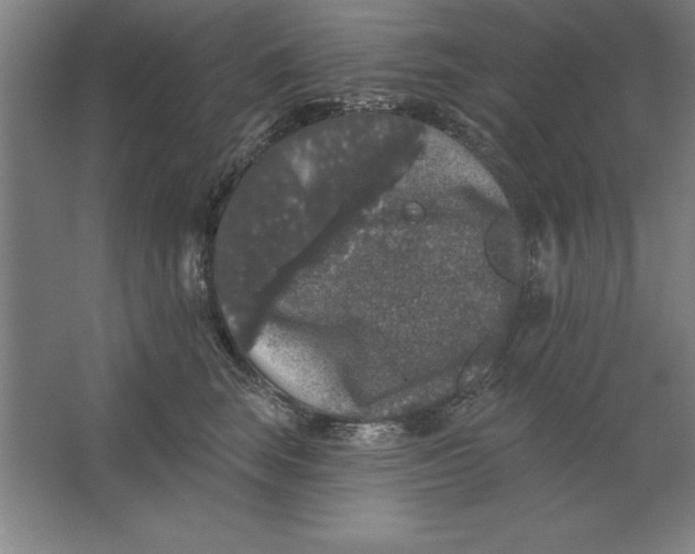 X0000062140663200512301529