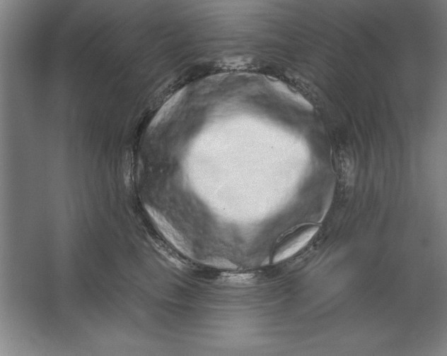 X0000062140665200512301529