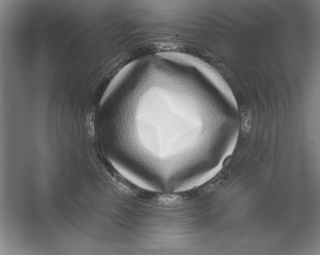 X0000062140666200512301529