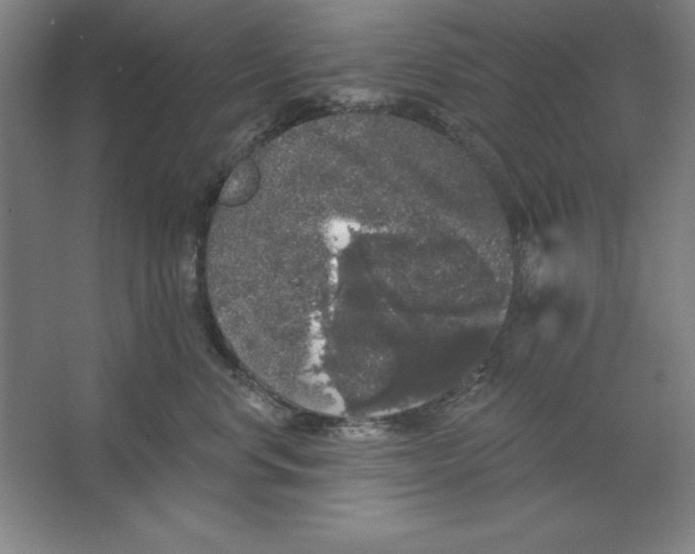 X0000062140668200512301529