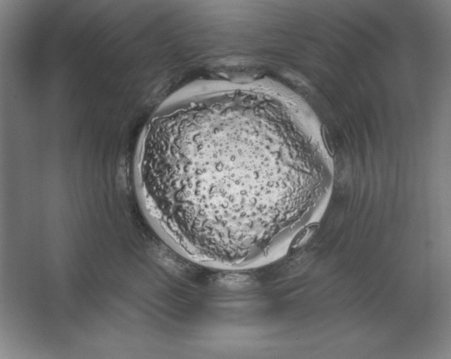 X0000062140669200512301529