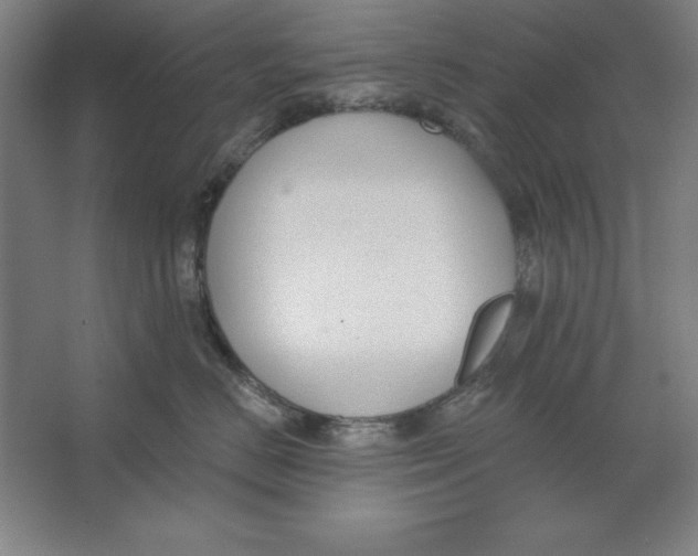 X0000062140670200512301529