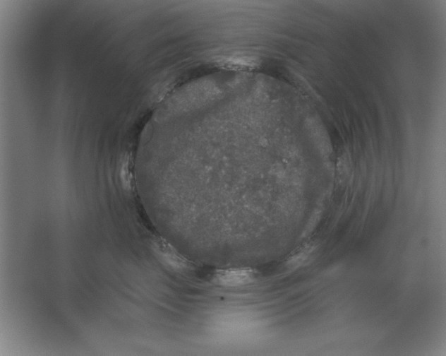 X0000062140671200512301529