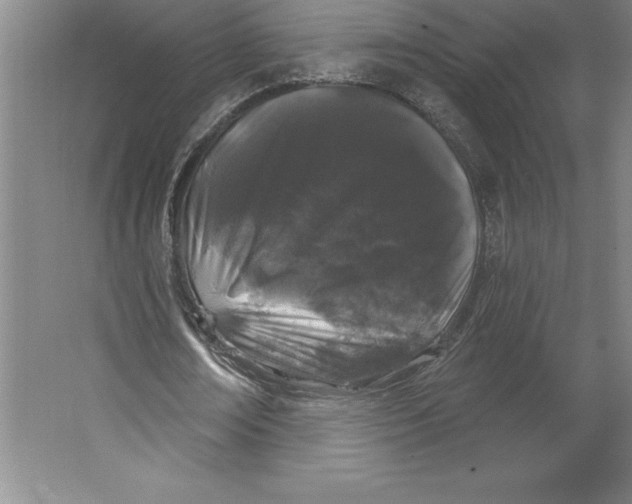 X0000062140674200512301528