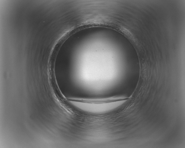 X0000062140680200512301528