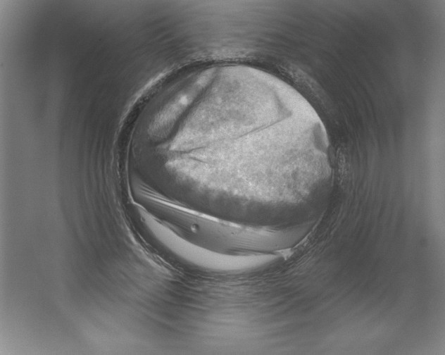 X0000062140684200512301528