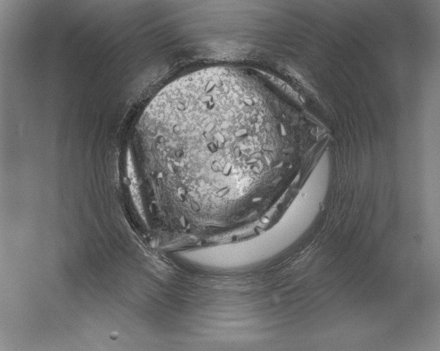 X0000062140685200512301528