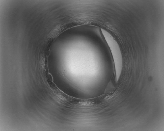 X0000062140693200512301528