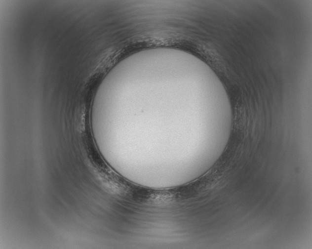 X0000062140694200512301528