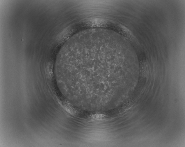 X0000062140695200512301528