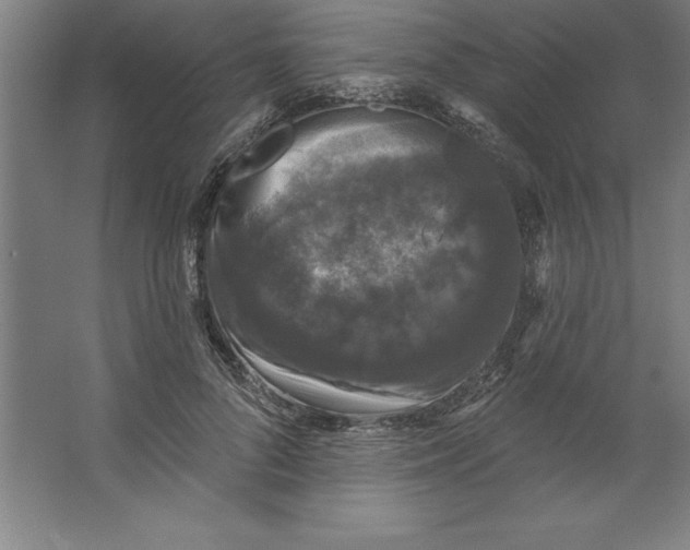 X0000062140696200512301528