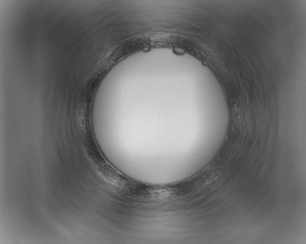 X0000062140698200512301528