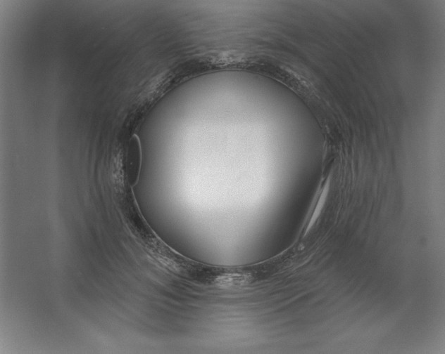 X0000062140700200512301527