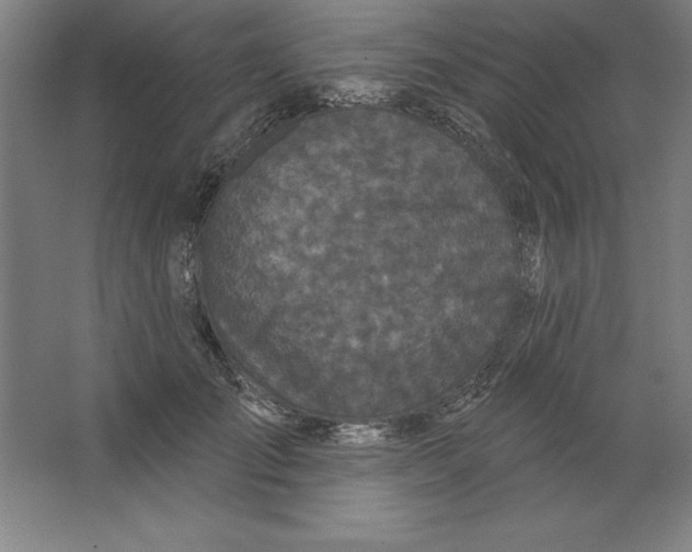 X0000062140701200512301527