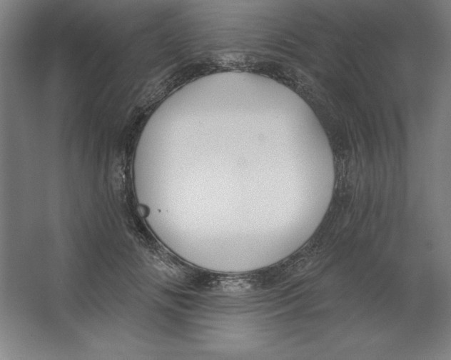 X0000062140702200512301527