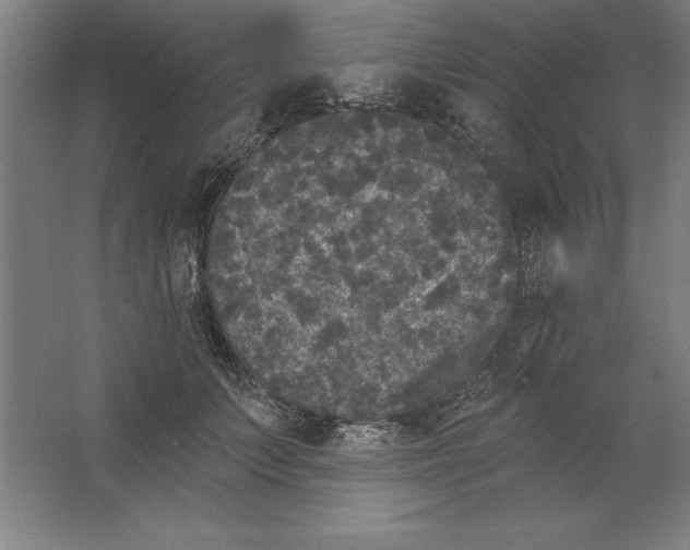 X0000062140703200512301527