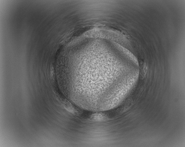 X0000062140704200512301527