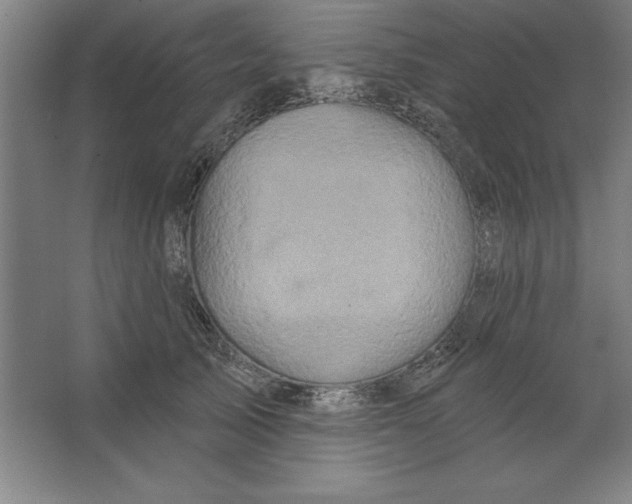 X0000062140705200512301527